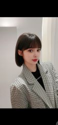 -爱维丽