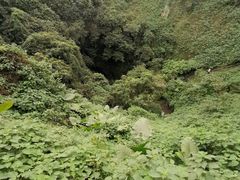 -海口火山口国家地质公园