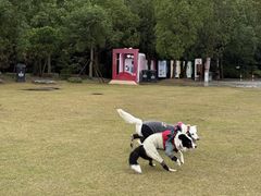 -上海海湾国家森林公园