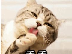 -井老三陕西搅团(莲湖路店)