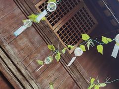 -孔城老街