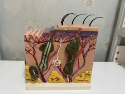 -宜肤清颜专业祛痘问题肌修护