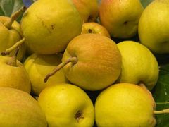 -王家渡火锅店(亦庄店)