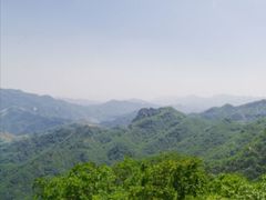 -六里坪国家森林公园