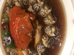 -十八棵（老龙井）御茶园(老龙井店)