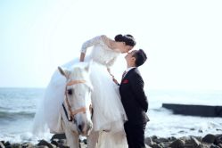 -1986婚纱摄影(清城店)