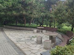-玲珑塔公园