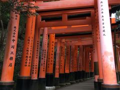 -名古屋城