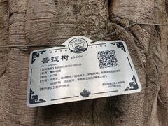 -南华寺素食馆(南华禅寺店)