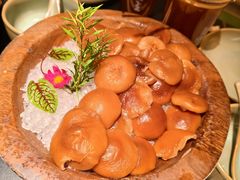 -季季山·云南野生菌火锅(上海首店)