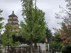 -大慈恩寺(大雁塔)