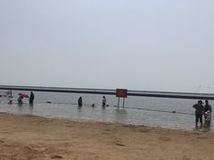 -碧海金沙