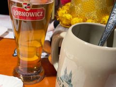 -布拉格餐厅· 中欧捷克菜(全国首店)