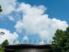 -黄海国家森林公园