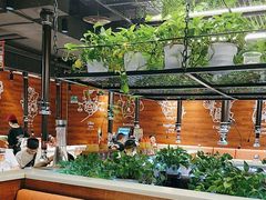 -猫爪爪原切自助烤肉(观音桥阳光世纪店)