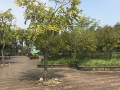 -森波拉火山温泉