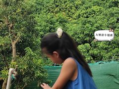 -东莞市大岭山森林公园