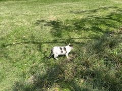 -柳莺湖上·湖景餐厅·江南菜(西湖店)