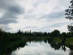 -瑶湖郊野森林公园