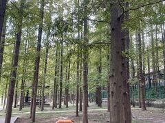 -南京金牛湖风景区