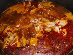牛蛙火锅-老天桥蛙炉火锅(姑苏总店)