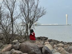 -上海吴淞炮台湾国家湿地公园