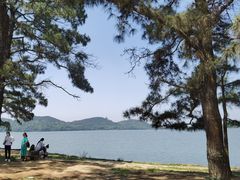 -东湖落雁景区