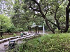 -九龙公园