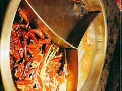 -小龙坎火锅(春熙太古里店)
