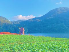 -广州市石门国家森林公园