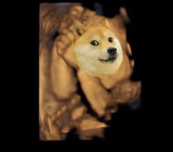 -上海艾儿贝佳妇产科医院