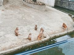 -常州淹城野生动物世界