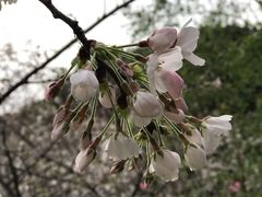 -苏州上方山国家森林公园