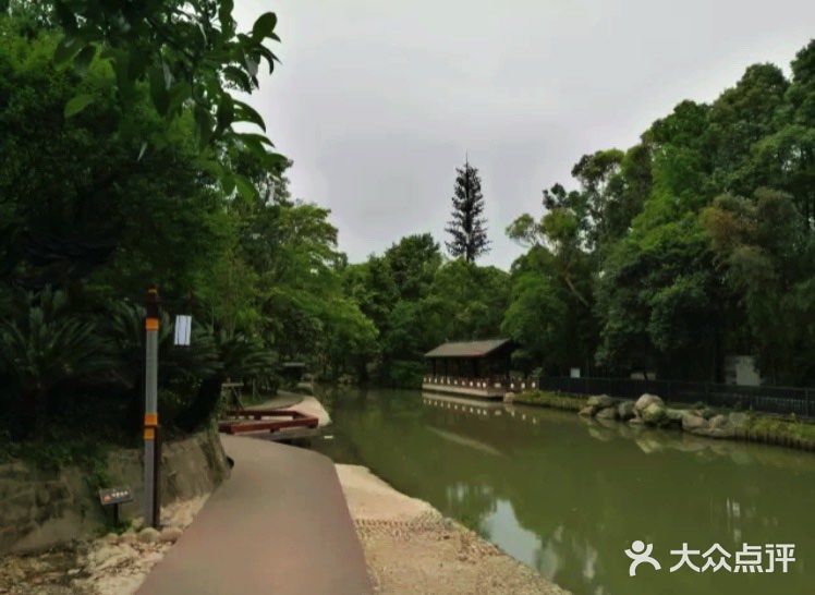 此情此景，生活在市中心的人们，不由感叹良多