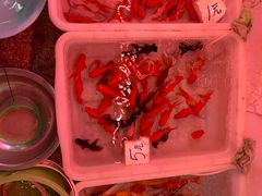-双季花艺园艺市场(浦东店)