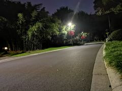 -青枫公园
