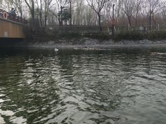 -西安汉城湖景区