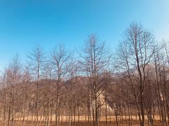 -石棉县孟获城