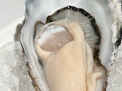 -Oyster Talks 四度蚝法餐厅