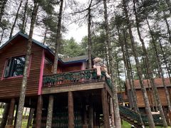 -洛阳白云山景区