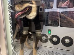 -FAELING PETS美天灵宠物(富力广场店)