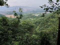 -大奇山国家森林公园