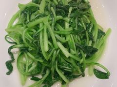 清炒鸡毛菜-苏浙汇(朝外店)
