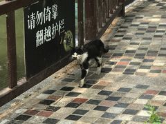 -酷鱼垂钓CLUB(朝阳区博大路店 )