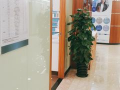 -茂菊口腔连锁(浦东南路店)