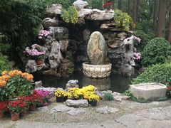 -上海醉白池公园