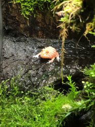 -酷嗒动物文化乐园(cutezoo西溪乐天城店)