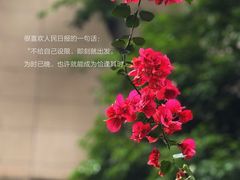 -曼朗心理咨询·旗舰店