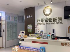 -丹景宠物医院·全科·老年病·牙科(武昌诊疗中心)