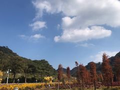 -广州市石门国家森林公园